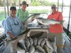 (05/22/2014) - Nice Striped Bass